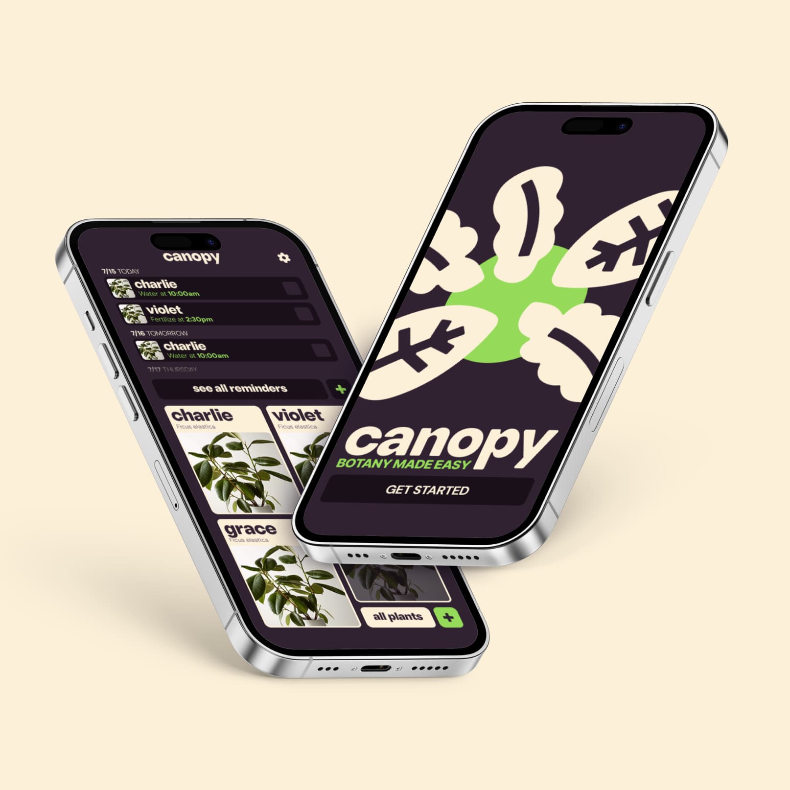 Canopy